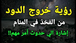 تفسير رؤية خروج الدود من الفخذ في المنام إشارة الي حدوث أمر مهم!!