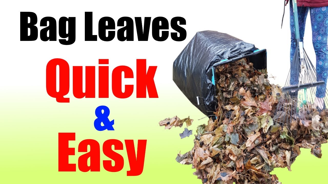 Bag Butler Lawn and Leaf Trash Bag Holder