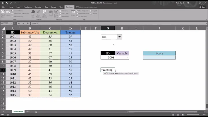 INDEX and MATCH Functions in Excel to Return Value in Different Column than Search Value