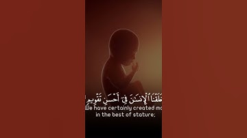 قرآن كريم التين والزيتون  بصوت جميل