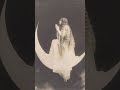 Witchy Vibes Edit #psychedelicfolk #witchy