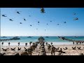 Venezuela Shocked! Thousands of U.S. Special Forces and War Machines Surround the Caribbean!