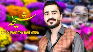 Sheikh Mama Tha Bang Warka | Nosherwan Ashna | Pashto Songs 2023 | Hd video Songs | نوشیروان آشنا