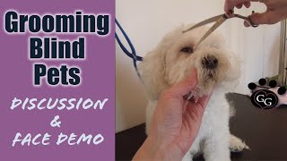 Grooming Blind Pets  Discussion of handling considerations and face trim demo