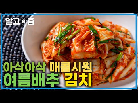 지난가을, 겨울에 해놓은 <strong>묵은</strong> 김장 <strong>김치</strong> 다 먹어서 걱정이라면, 아삭한 여름 배추로 간편하게 <strong>김치</strong> 해서 더운 날 밥반찬 대비하세요!┃최고의 요리비결┃알고e즘