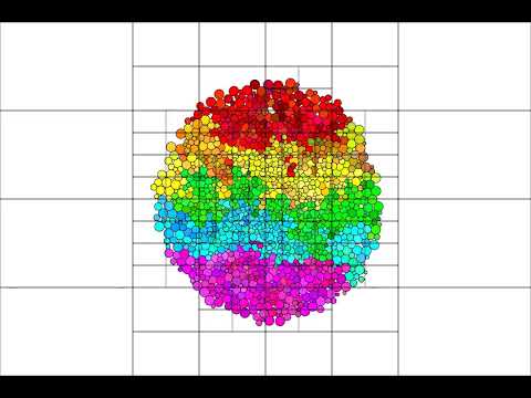 algae sim #9 with quadtree