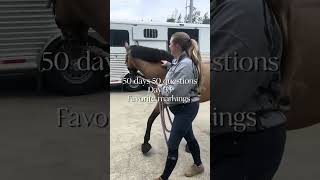 I love stars and cornet band #horse #equestrianjourney #equestrian