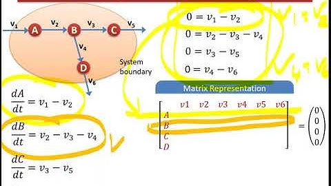 Lecture 3.1 - Matrix Representation in MFA | Genome Scale Metabolic Models