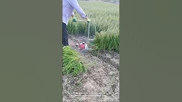 Small engine grass cutter- Good tools and machinery can increase work efficiency