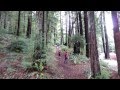 2012 Camp Puti - Avenue of the Giants