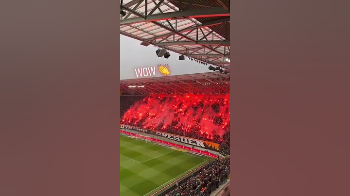 All passion from these Dynamo Dresden supporters 🔥