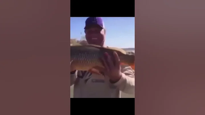 Nice man throws fish back in the water #memes