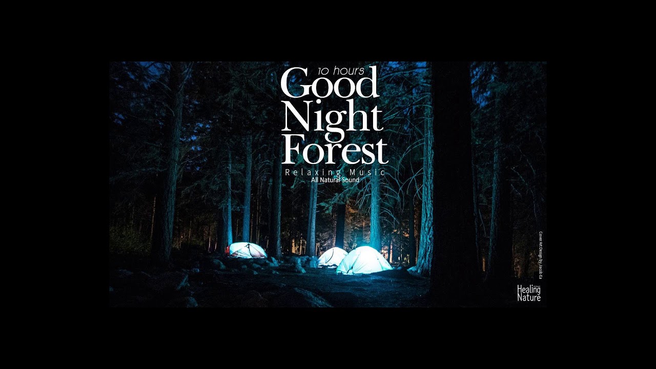 [Wikipedia] Forest night frog