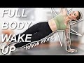 AT HOME FULL BODY WORKOUT FOLLOW ALONG (low impact, easy on the joints)