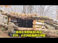 看他在荒野建造6种庇护所，长时间助眠解压神器 | 生存评测家
