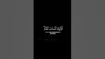 #قرآن #تلاوة_خاشعة #عبدالرحمن_مسعد #اكتب_شي_تؤجر_عليه