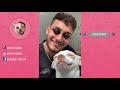 mreviatar TikTok - Niki the angry chihuahua dog Part 1 の動画、YouTube動画。