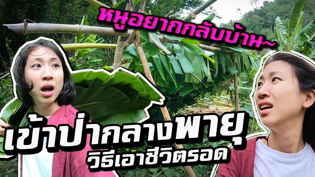 Build A Tree Hut In the Storm! Tak (2/3)