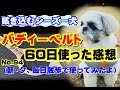 （咳き込みが強かったシーズー）バディーベルトを使ってみた～60日毎日散歩の感想～