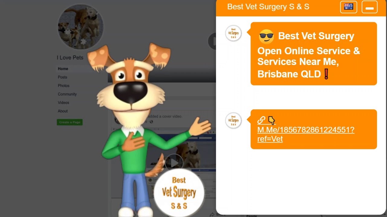 Best Vet Surgery Open Online Service & Services Near Me, Brisbane QLD! - Season 4 - YouTube