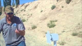 MGM WHIRLYGIG spinning target - assembly, demo