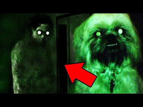 Top 5 Ghost Videos SO SCARY You'll Go Boom-Boom