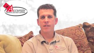 Rodent Control Service Austin TX (512) 267-0812 Accurate Rodent Control Service Austin Texas