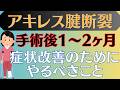 【改善方法】アキレス腱断裂 手術後1〜2ヶ月以内にやるべきこと、注意点