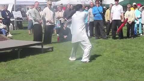 Hunyuan Tai Chi 24 form   Master Zhang Zhao Xun