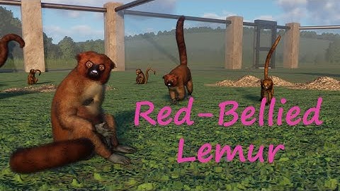 Red Bellied Lemur by Leaf - Planet Zoo Mod