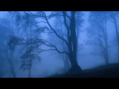 აღმართი - მაკა ჩარკვიანი