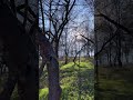 Весна пришла 😍🥹#природа #рыбалканаозере #природныепейзажи #fishing  #bennybenassi