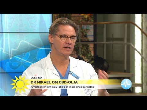 Doktor Mikael: ”Fullständigt fel om cannabis - det är knark!” - Nyhetsmorgon (TV4)