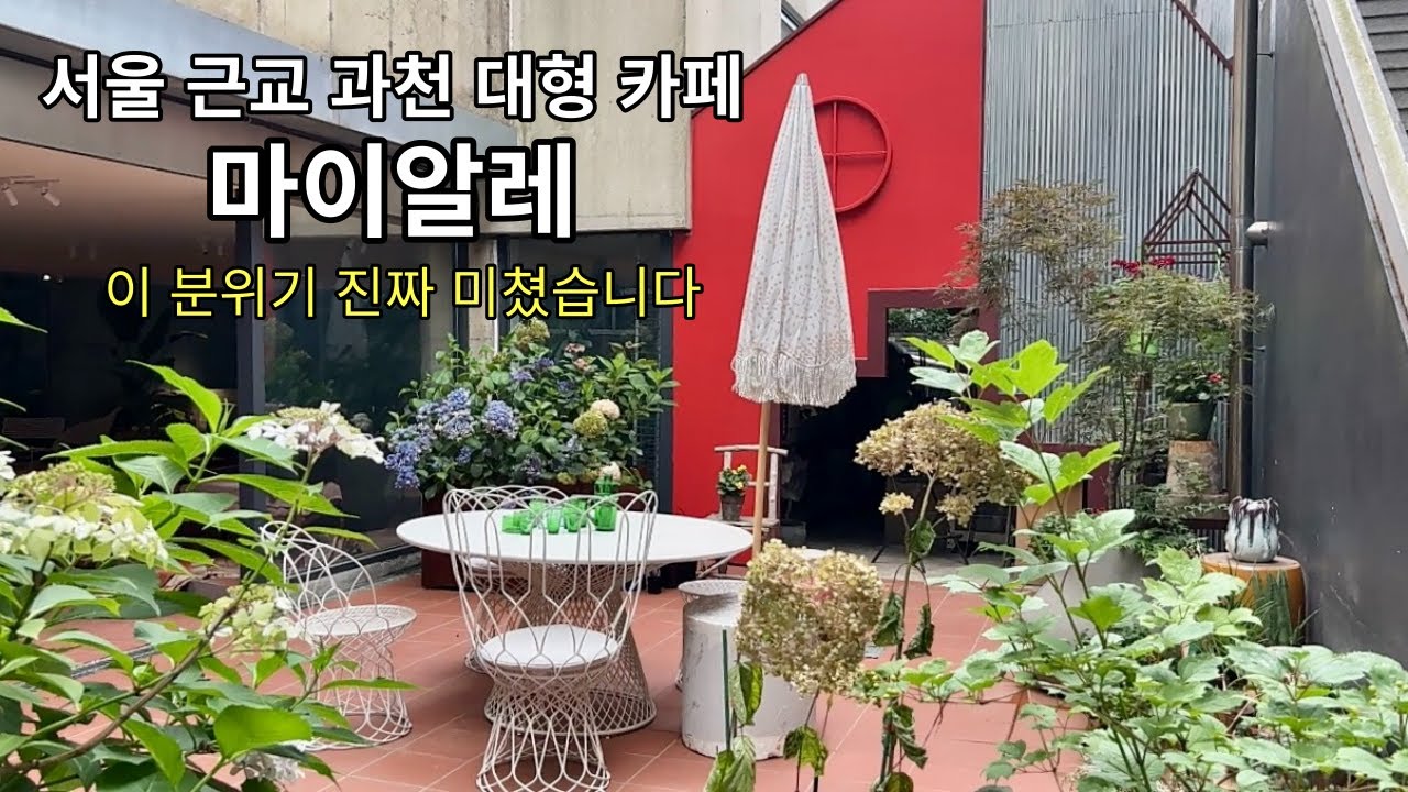 [가드너스 트립] 직접 다녀온 서울 근교 최고의 카페 과천 마이알레 ㅣ 분위기 좋은 카페 추천ㅣ 정원과 온실이 아름다운 곳 ㅣ 유럽 감성