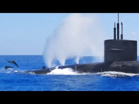 US Submarine Diving Like a Blue Whale During Race With Dolphins