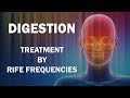 Digestion frequency  rife frequencies treatment  energy  quantum medicine with bioresonance