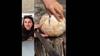 🤣👌👌👌2025 pov Must-Watch Crazy Clips Compilation #humor #fypシ #pov #fyp #foryou 😍😜