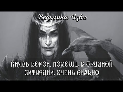 Книги Инги Хосроевой Купить Цена