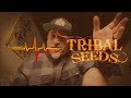 Dj crowley interviews tribal seeds 2024