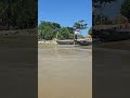 catch a big fish by castnet enjoy this videos. #shorts #fishing #fish #isshingvideo #villagelife