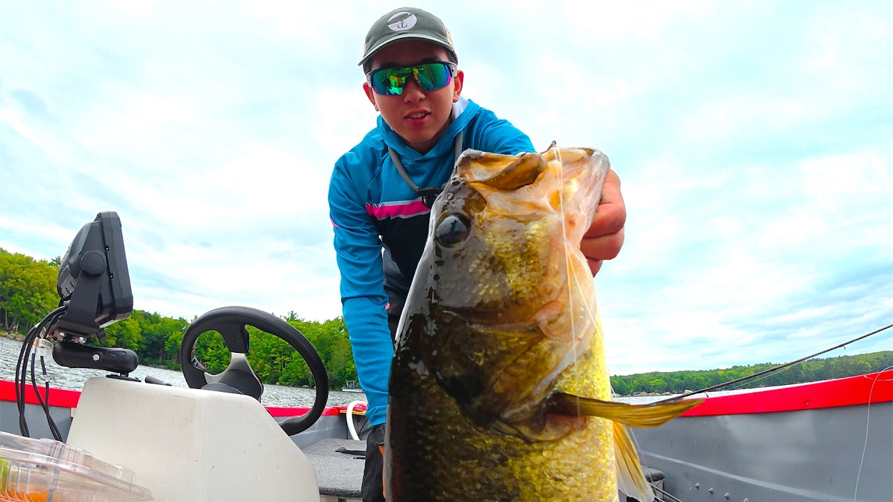 If This Video Doesn’t Convince You To Fish A Dropshot Idk what Will (ft. Hobbyist Fishing)