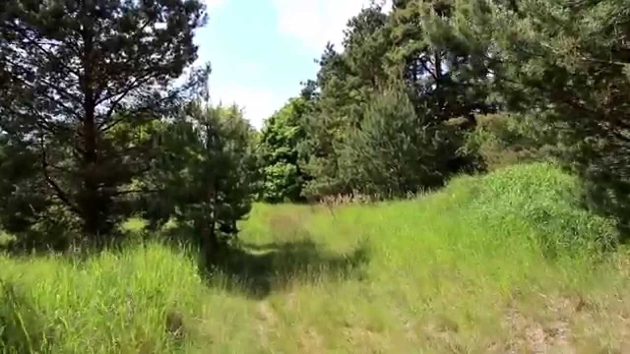 Carinhall:  die Scheinanlage