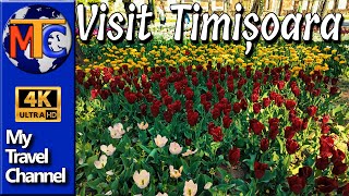 Timișoara | lalelele din Parcul Justiției