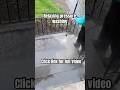Relaxing pressure washing short, #shortvideo, #pressurewashing, #satisfying,