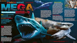 Ábíčko S03EP04: Méně mega megalodon: Ábíčko odhaluje novou podobu pravěkého žraloka