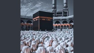 تلاوة خاشعة تبعث نور الإيمان في القلوب