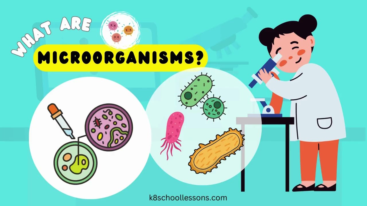 Types Of Microorganisms With Examples