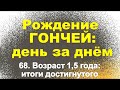 Сюжет 68. Возраст 1,5 года - итоги достигнутого