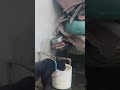 Black Cat drinks water and next