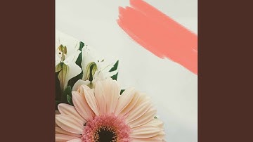 Pulsating Ambience for Downtempo Days